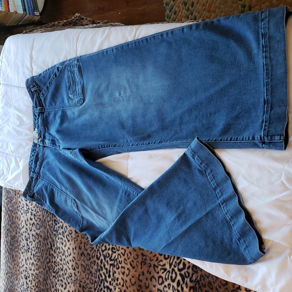 Sundance Blue Wide-Leg Flare Jeans